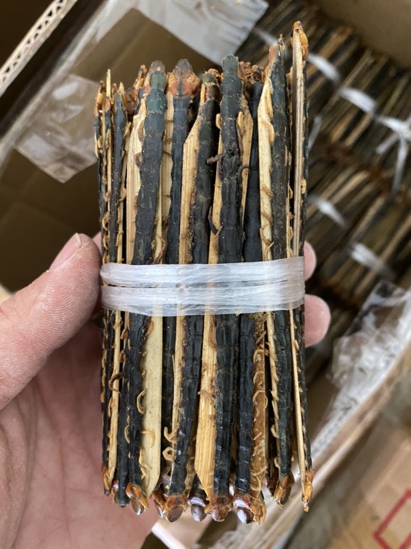 蜈蚣湖北红头大蜈蚣8-16公分蜈蚣肉不带竹签干蜈蚣泡酒