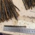 蜈蚣湖北红头大蜈蚣8-16公分蜈蚣肉不带竹签干蜈蚣泡酒