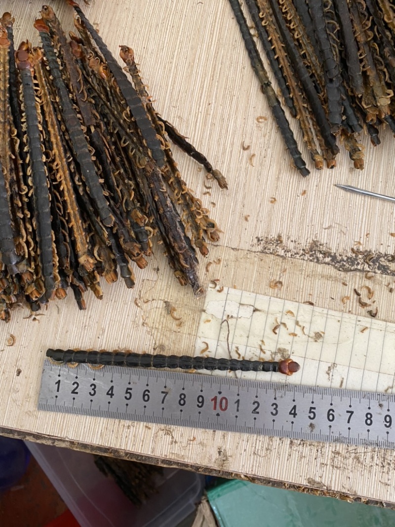蜈蚣湖北红头大蜈蚣8-16公分蜈蚣肉不带竹签干蜈蚣泡酒
