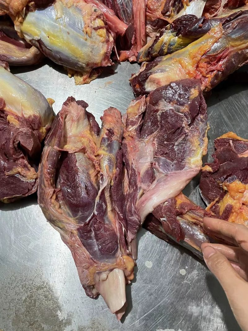 屠宰厂直供纯干精修马腱子