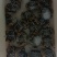 精品大闸蟹礼盒，可一件代发，欢迎商超，水果店，专卖店洽谈