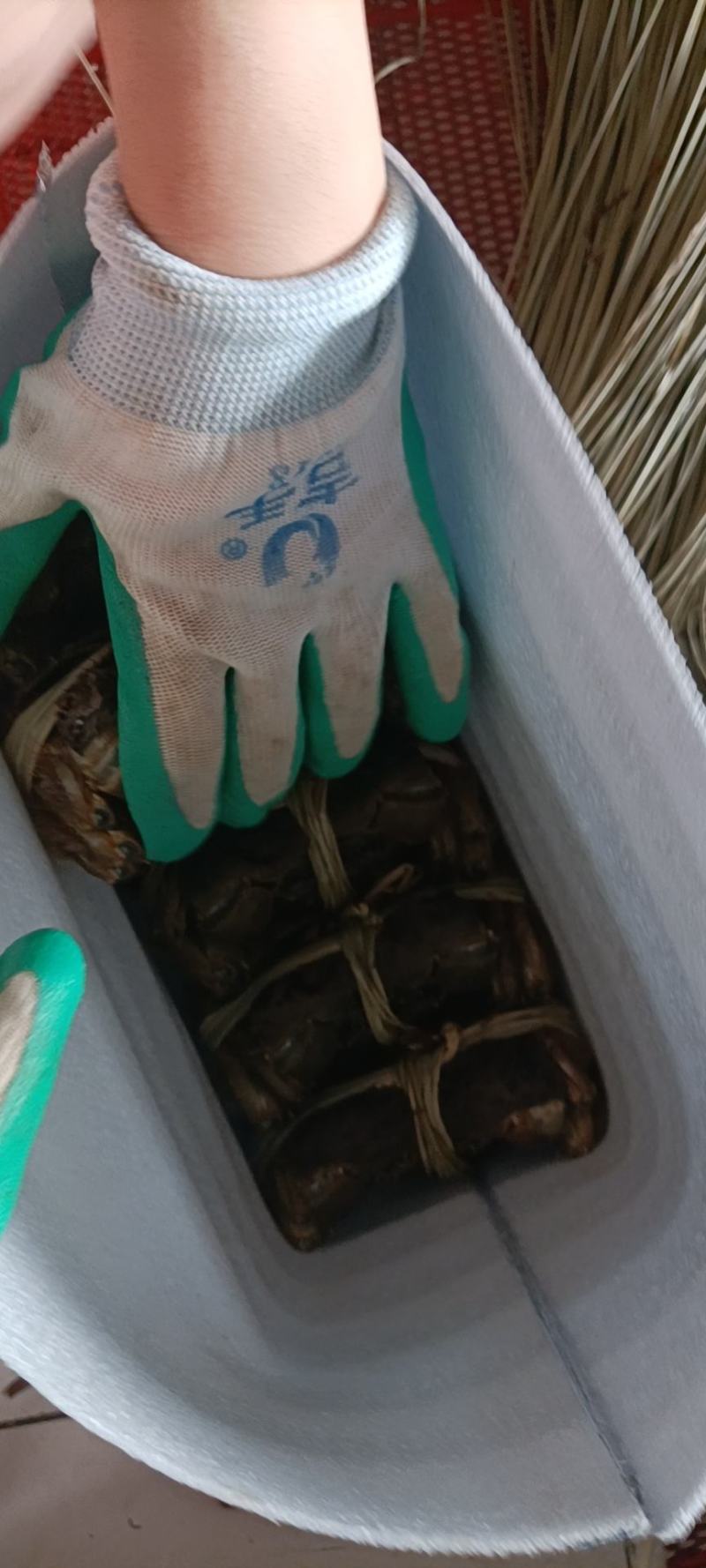 精品大闸蟹礼盒，可一件代发，欢迎商超，水果店，专卖店洽谈