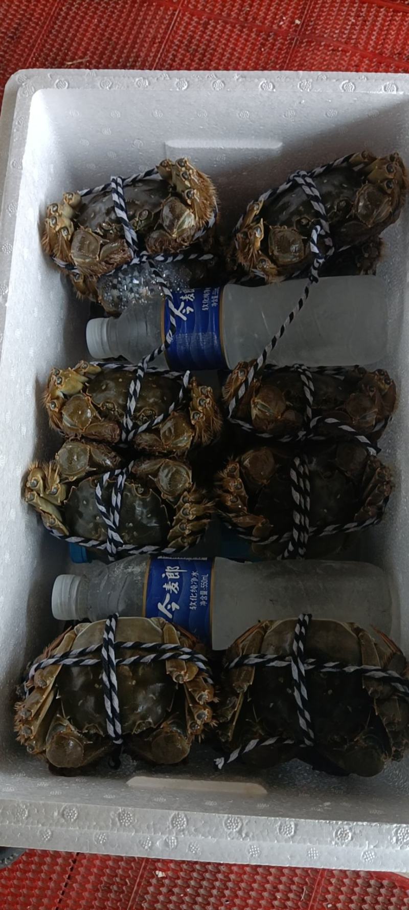 精品大闸蟹礼盒，可一件代发，欢迎商超，水果店，专卖店洽谈