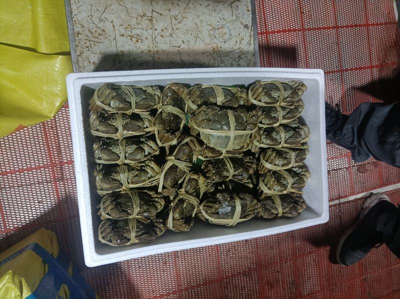 精品大闸蟹礼盒，可一件代发，欢迎商超，水果店，专卖店洽谈