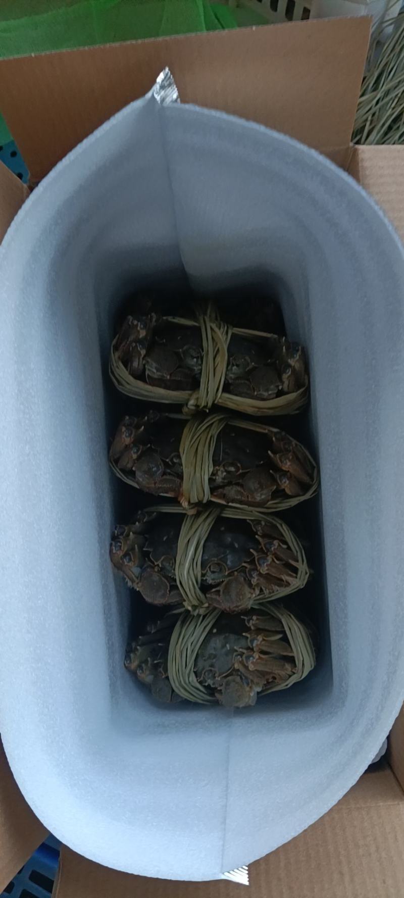 精品大闸蟹礼盒，可一件代发，欢迎商超，水果店，专卖店洽谈