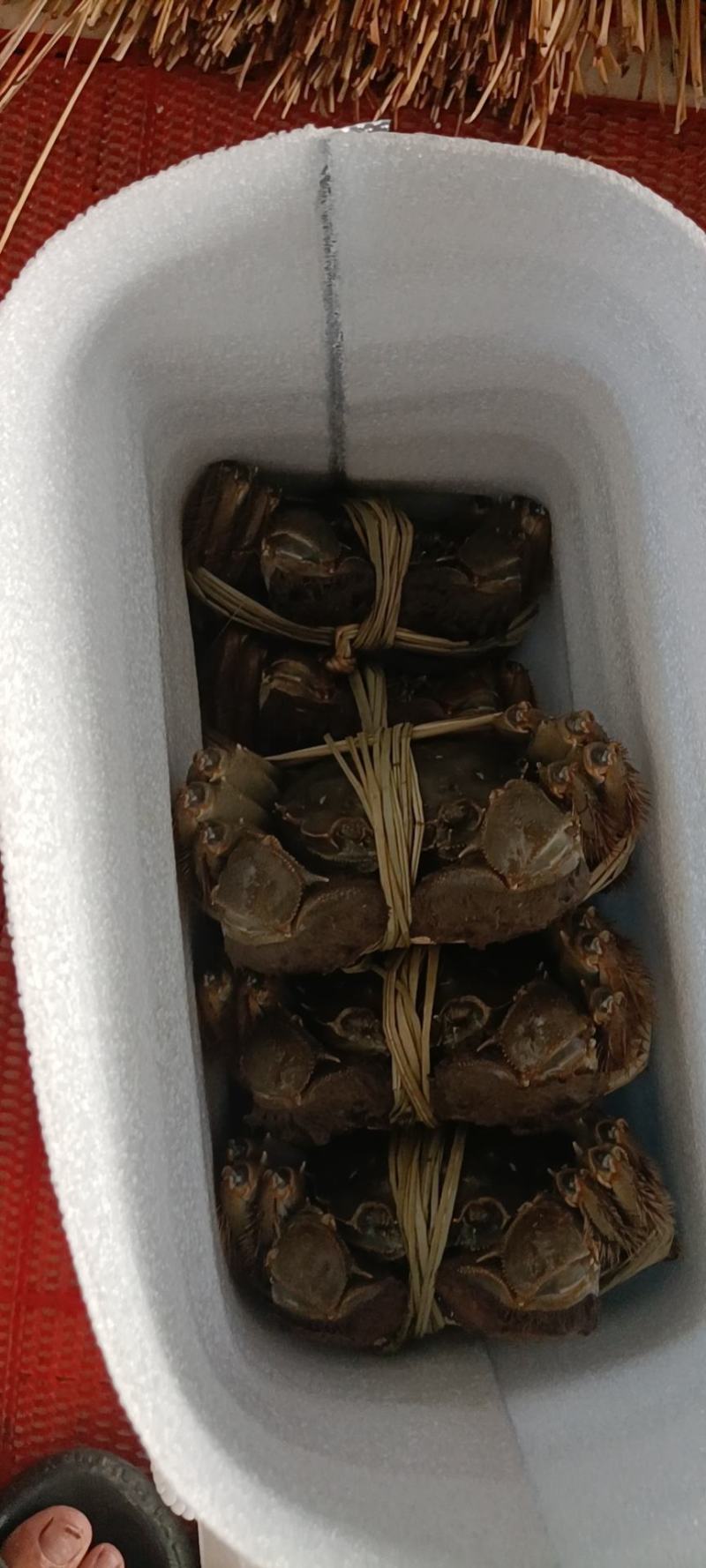 精品大闸蟹礼盒，可一件代发，欢迎商超，水果店，专卖店洽谈