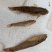 山坑鱼又名（小黄鱼）货源充足，基地直发，一手货源，。