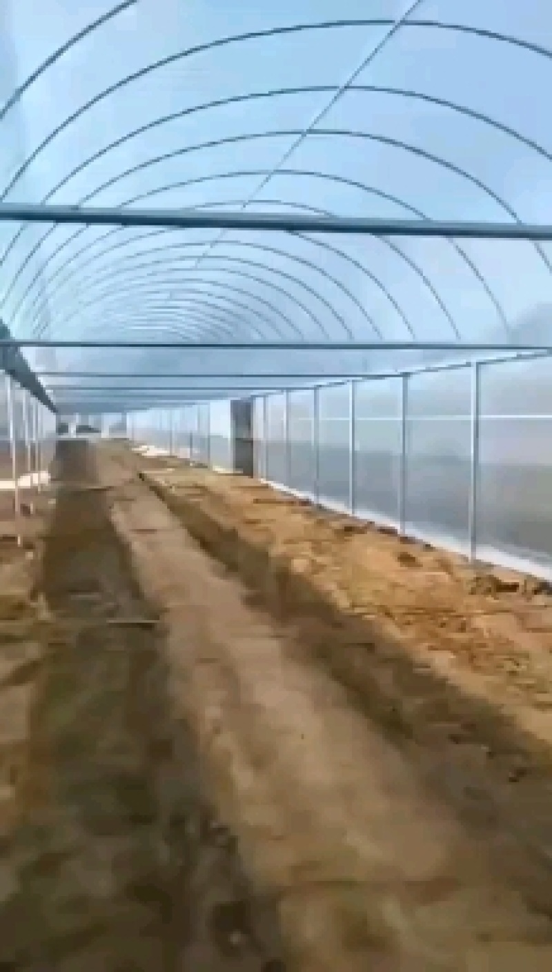 大棚骨架热镀锌管质量保证货到付款