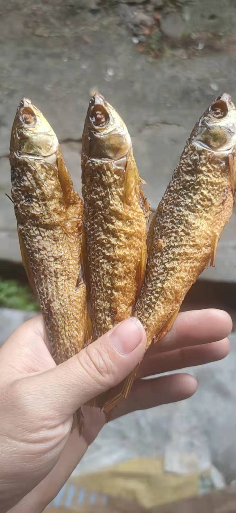鱼干，腊鱼干，红眼鱼干，大小可选自产，量大优惠