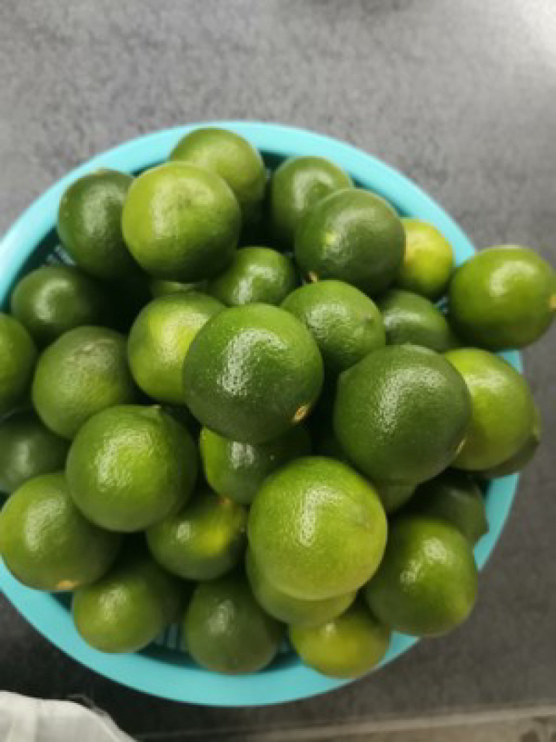 越南青柠檬小柠檬冬阴功原料香水青柠檬小青柠餐饮专用