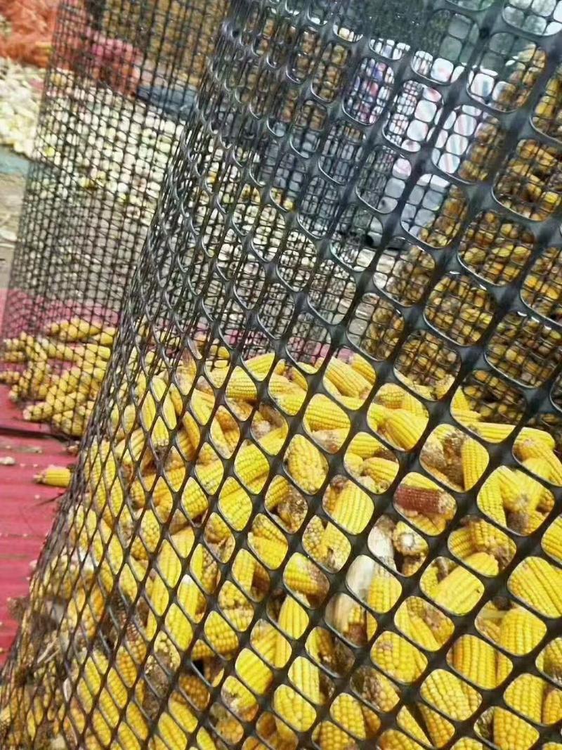加厚圈地围栏网鸡鸭鹅隔离网护栏网圈玉米网方格网黑色胶网