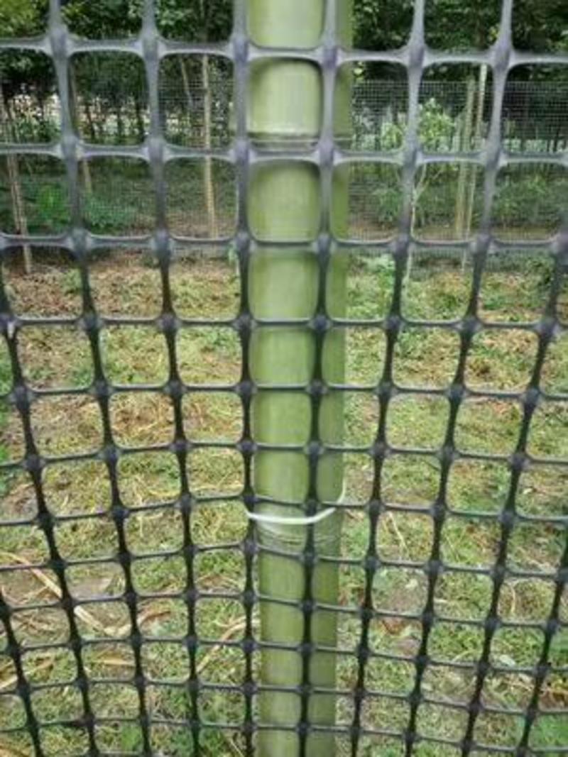 加厚拦鸡鸭鹅网塑料围栏网养殖网圈玉米网圈地护栏网鱼塘防护