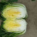 精品大白菜，净菜，产地直发，物美价廉，需要联系