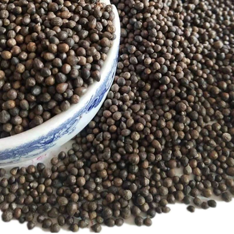野生布惊子布惊仁布惊籽仁布惊子仁枕头黄荆籽黄荆子
