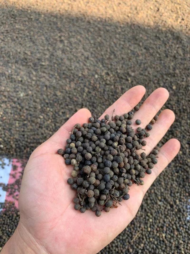 野生布惊子布惊仁布惊籽仁布惊子仁枕头黄荆籽黄荆子