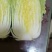 黄心白菜