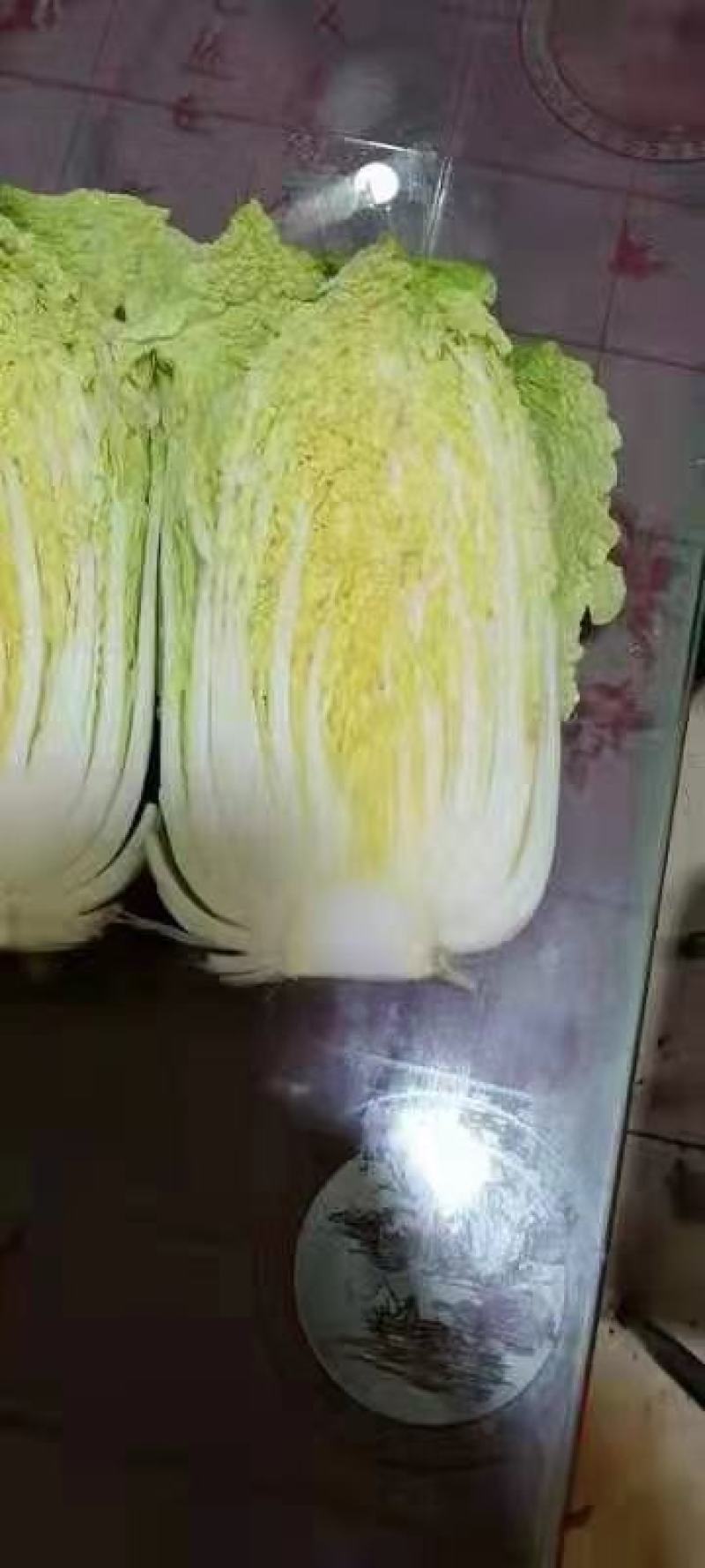 黄心白菜