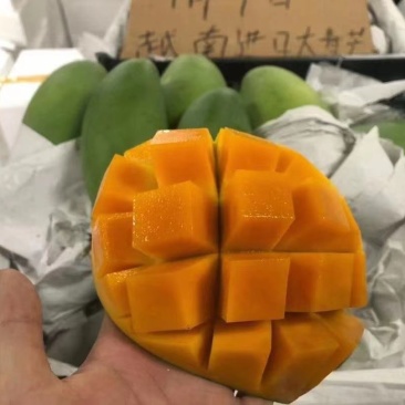 越南水果