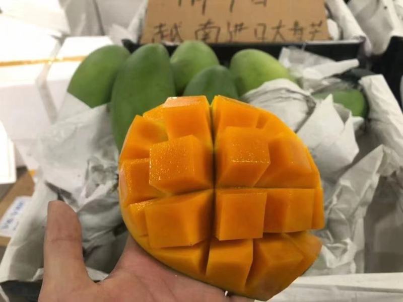 越南水果