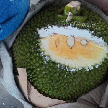 菠萝蜜