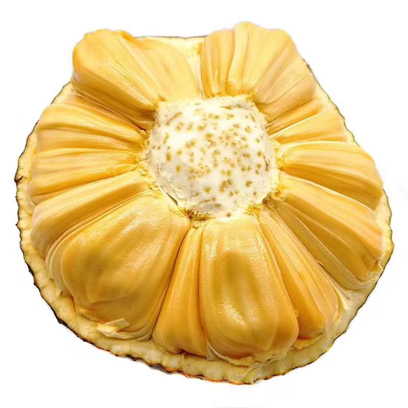 菠萝蜜
