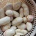 红芽芋贵州出产