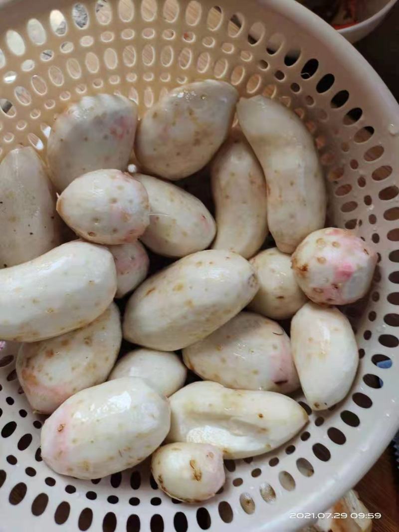 红芽芋贵州出产