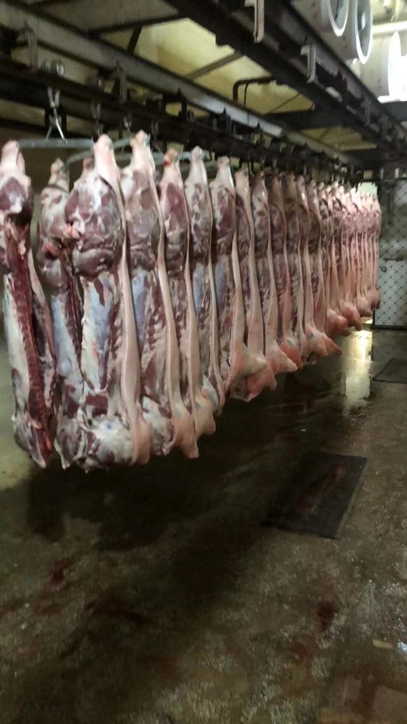猪肉白条猪肉半子厂家直销低价高品质