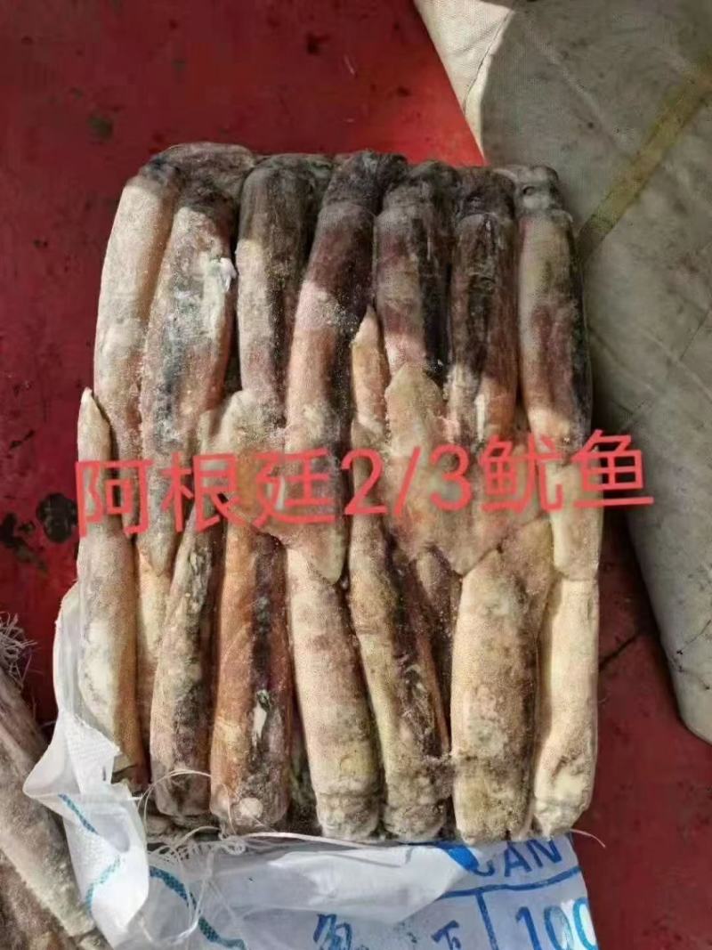 海鲜厂家直销高品质低价位