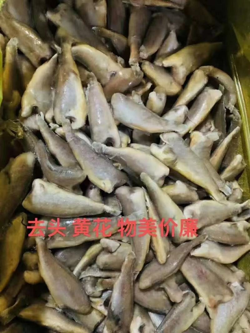 海鲜厂家直销高品质低价位