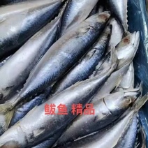 海鲜厂家直销高品质低价位