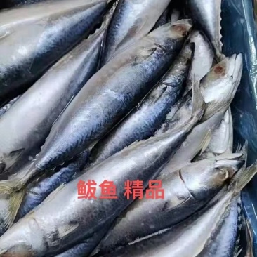 海鲜厂家直销高品质低价位