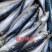 海鲜厂家直销高品质低价位
