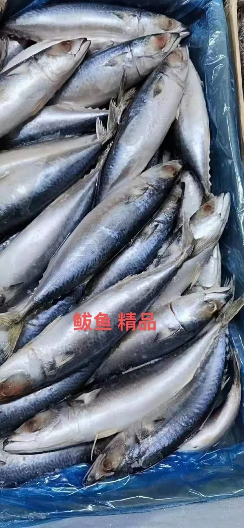 海鲜厂家直销高品质低价位