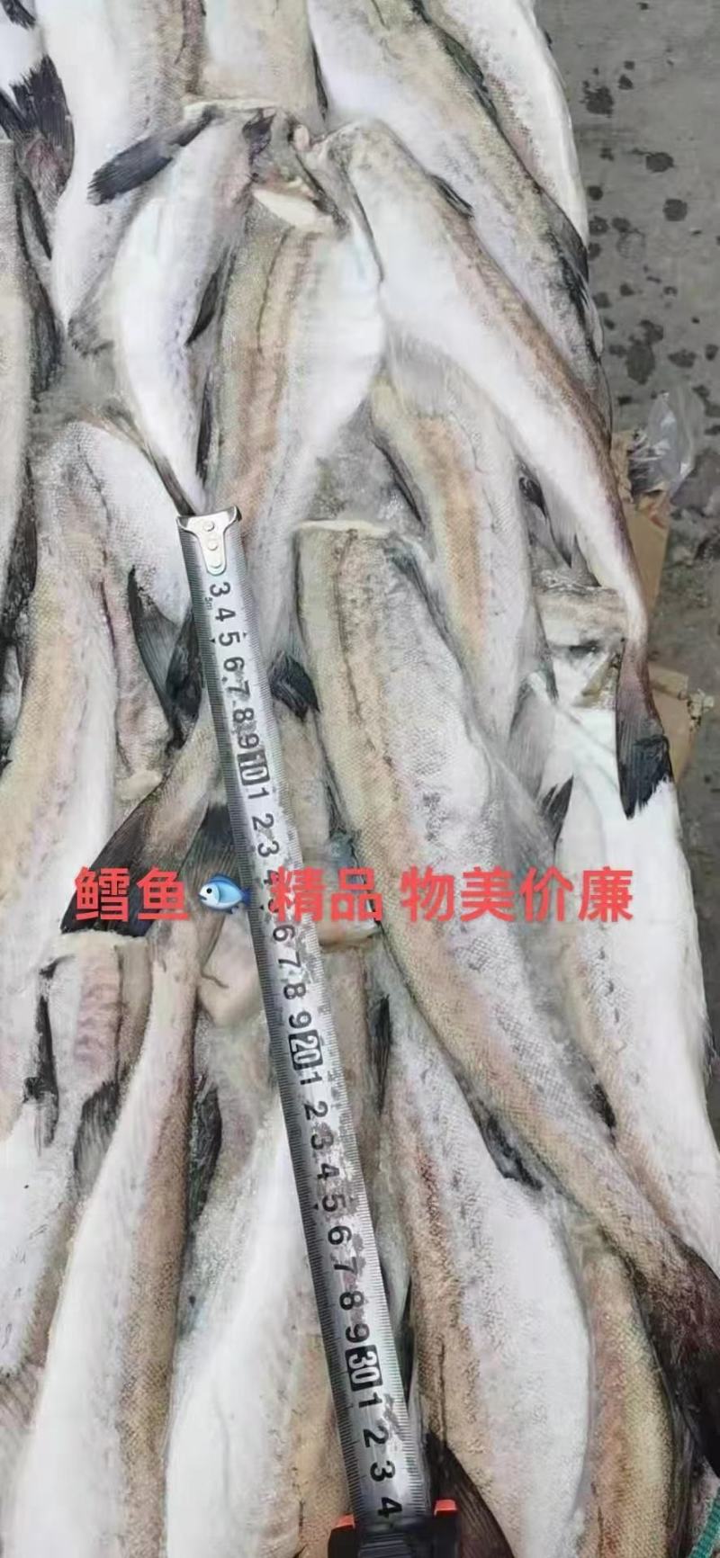 海鲜厂家直销高品质低价位