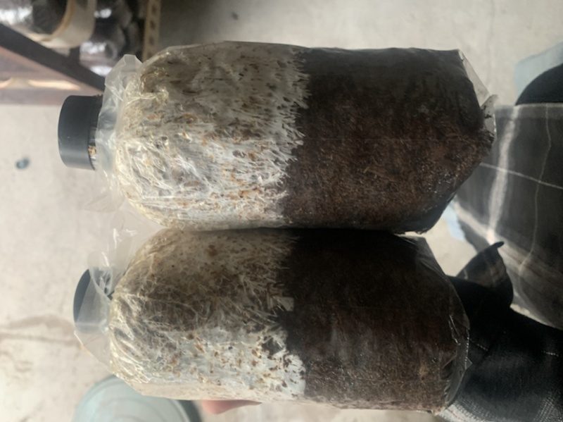 赤松茸菌种，大球盖菇菌种提供技术指导。三级栽培种有量可谈