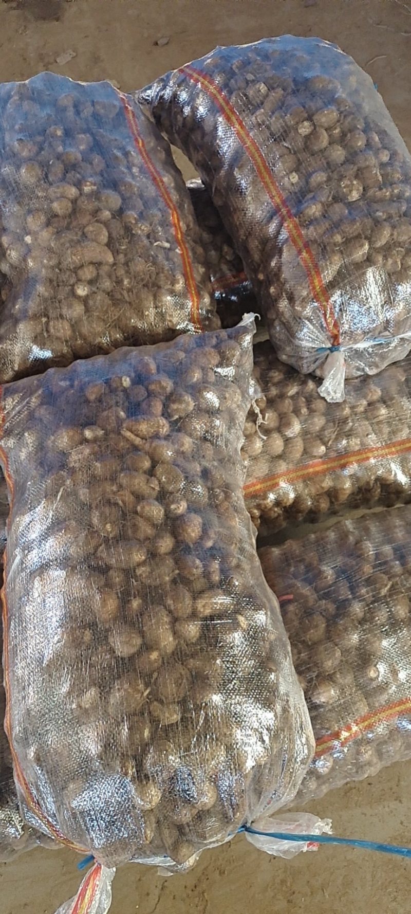 山东芋头大量上市产地直供质量保证支持全国物流发货
