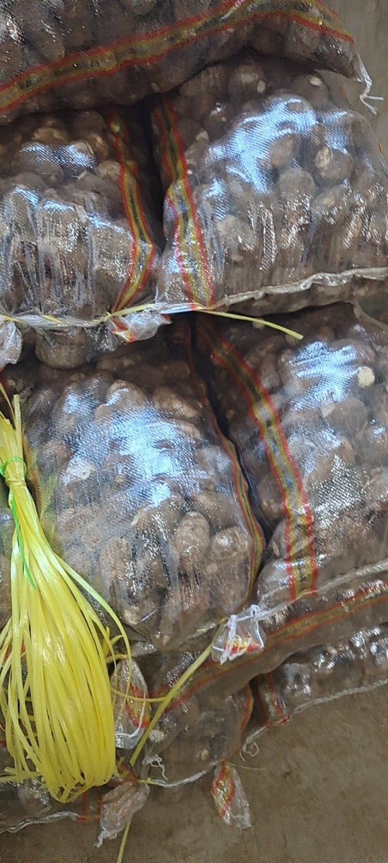 山东芋头大量上市产地直供质量保证支持全国物流发货