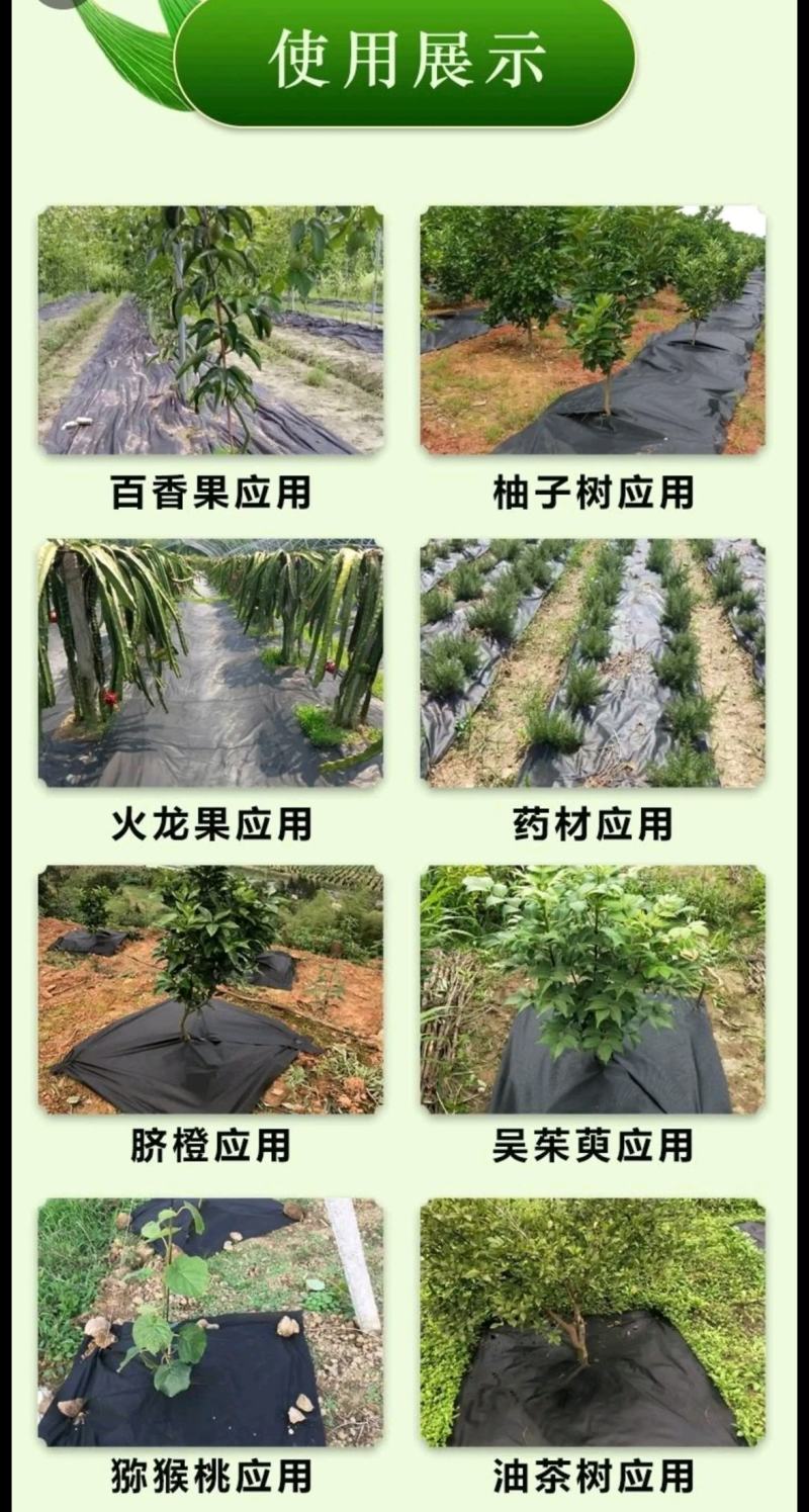 生态可降解防草布除草布绿黑色生态可降解防草布（单张）