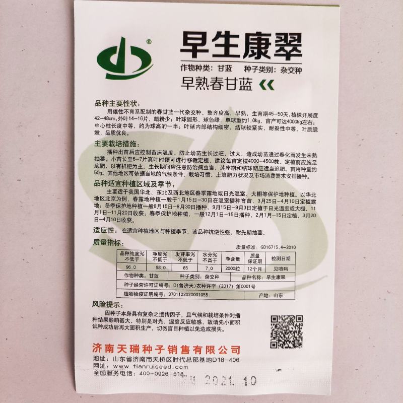 甘蓝种子早生康翠早熟整齐度高叶球圆形叶质脆嫩品质优良