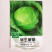 甘蓝种子早生康翠早熟整齐度高叶球圆形叶质脆嫩品质优良