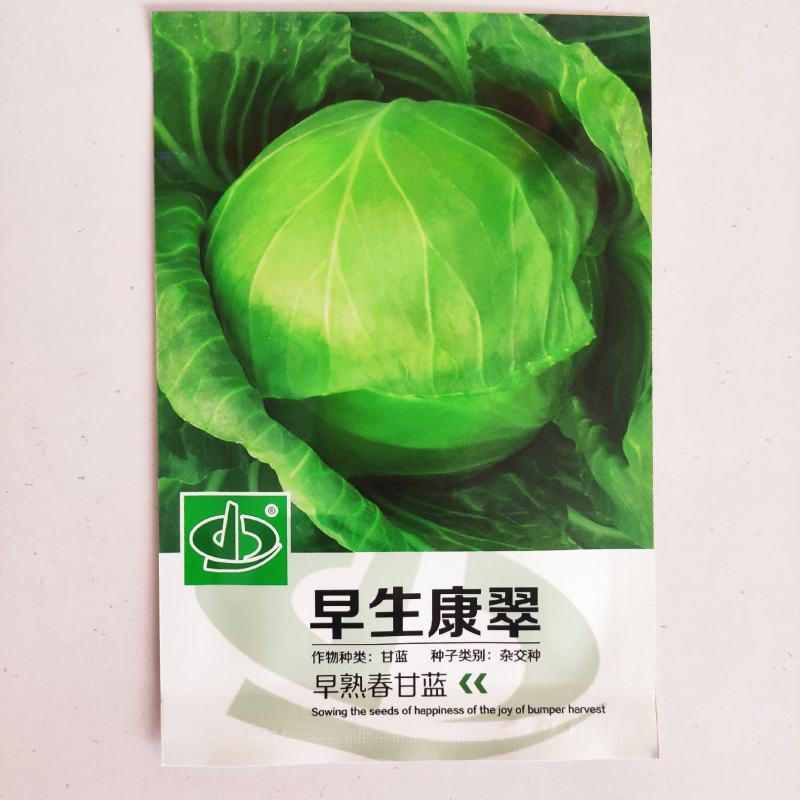 甘蓝种子早生康翠早熟整齐度高叶球圆形叶质脆嫩品质优良