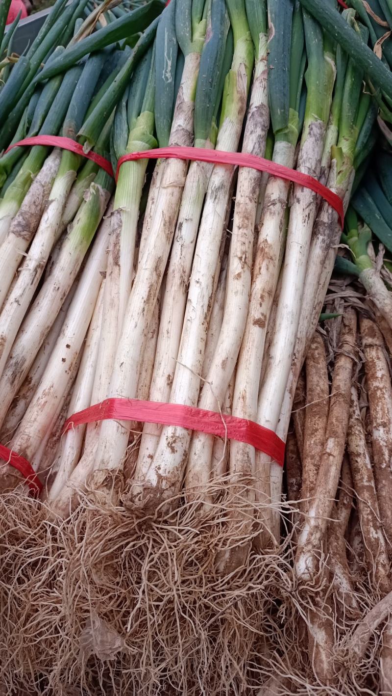 货品质量保证，价格美丽