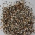 万寿菊种子金菊花蜂窝菊种子四季易种庭院阳台种子景观花海