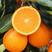 【优质商家】湖北纽荷尔脐橙新鲜上市味美多汁视频看货