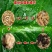 蛋白虫种虫出售教您去养殖，回收！