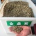 金盏菊种子多年生花种四季易种庭院阳台种子菊花种子