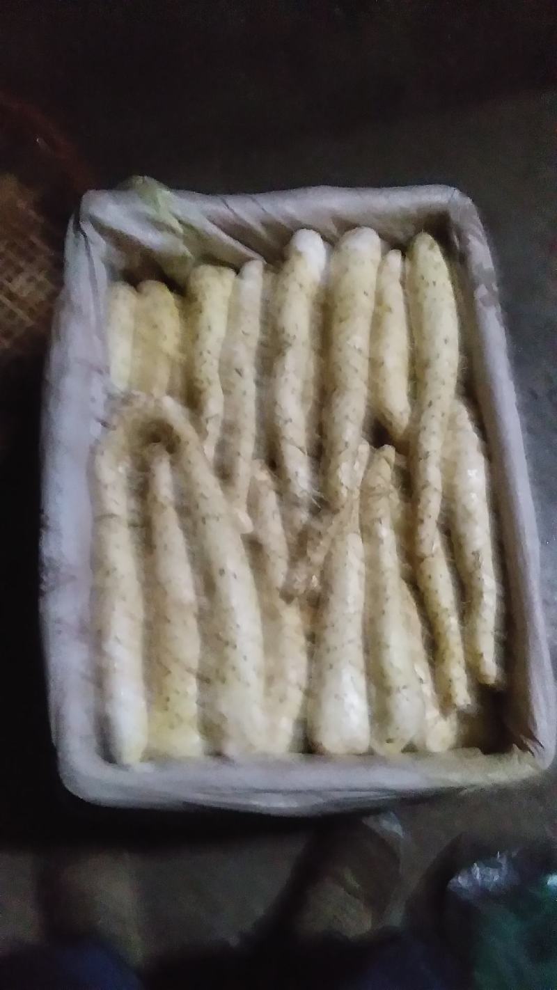 雅安宝兴五龙喇嘛坪生态山药(花山仔)量大从优批发规格齐全