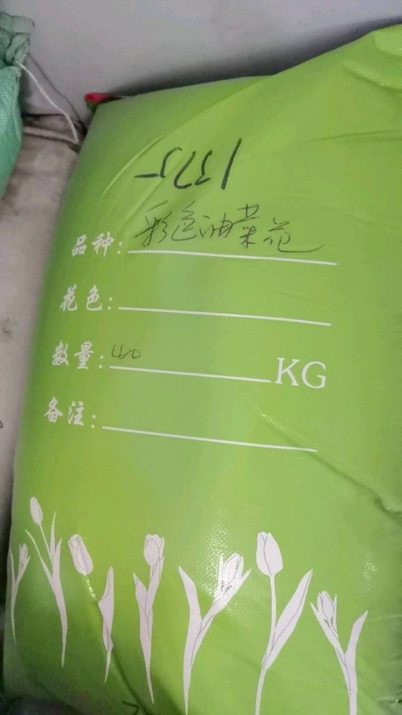 油菜花种子高产油菜籽四季播观赏蜜源植物鸟食榨油原料包