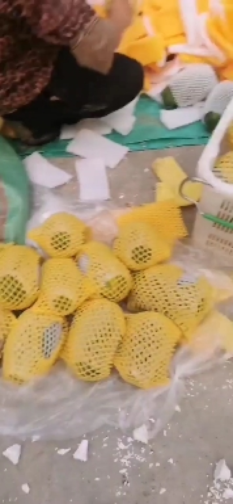 热带木瓜大量上市